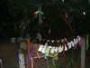 11060006.jpg