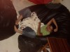 DSC004500025.JPG