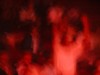 dscn0320.jpg