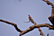 DSC4220_fk.jpg