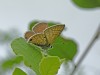 DSCN0145.jpg