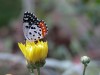 DSCN1418_fk.jpg