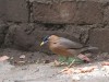 DSCN1671_fk.jpg