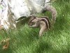 DSCN1696_fk.jpg