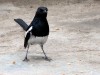 DSCN1735_fk.jpg
