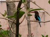 DSCN1758_fk.jpg