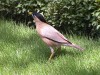 DSCN1826_fk.jpg