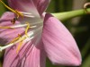 DSCN2302_fk.jpg