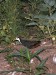 DSCN3170_fk.jpg