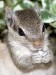 DSCN3708_fk.jpg