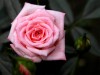 DSCN4132_fk.jpg