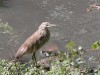 DSCN4924_fk.jpg