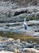 DSCN5492_fk.jpg