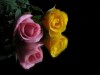 DSCN6029_fk.jpg