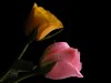 DSCN6036_fk.jpg