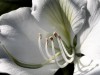 DSCN6541_fk.jpg