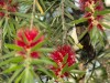 DSC_01090051_fk.jpg