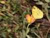 DSC_02170124_fk.jpg
