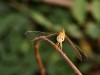 DSC_02350134_fk.jpg