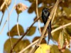 DSC_03460189_fk.jpg