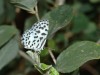 DSC_05740359_fk.jpg