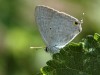 DSC_05830366_fk.jpg