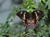 DSC_05850368_fk.jpg
