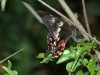DSC_05870370_fk.jpg
