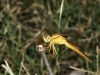 DSC_06020382_fk.jpg