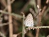 DSC_06210396_fk.jpg