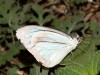 DSC_06430403_fk.jpg