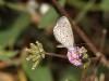 DSC_06560413_fk.jpg