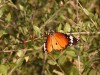 DSC_08010503_fk.jpg