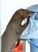 DSC_09070550_fk.jpg