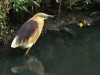 DSC_10420608_fk.jpg