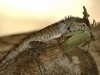 DSC_10910635_fk.jpg