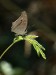 DSC_12810731_fk.jpg