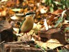 DSC_13740801_fk.jpg