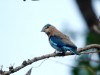 DSC_14250838_fk.jpg