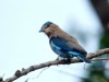 DSC_14260839_fk.jpg