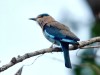 DSC_14270840_fk.jpg