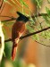 DSC_19141237_fk.jpg