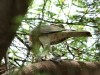 DSC_22961578_fk.jpg