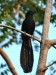 DSC_23041586_f.jpg