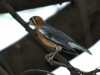 DSC_23121592_fk.jpg