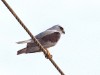 DSC_24071677_fk.jpg