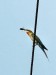 DSC_24101680_fk.jpg