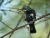 DSC_24681736.jpg