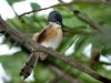 DSC_25471810.jpg