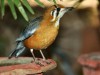 DSC_25861846.jpg